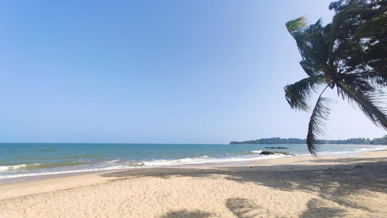 Surf Beach Hotel Аругам Экстерьер фото